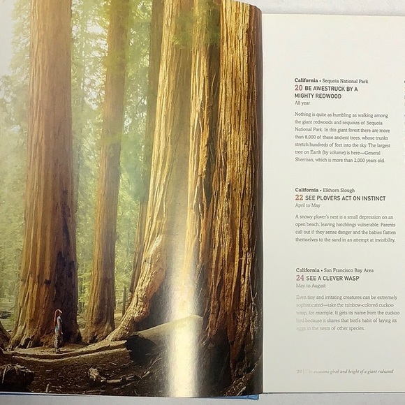 The Bucket List Wild Book By Kathryn Stathers Travel Nature Animals - Picture 9 of 16